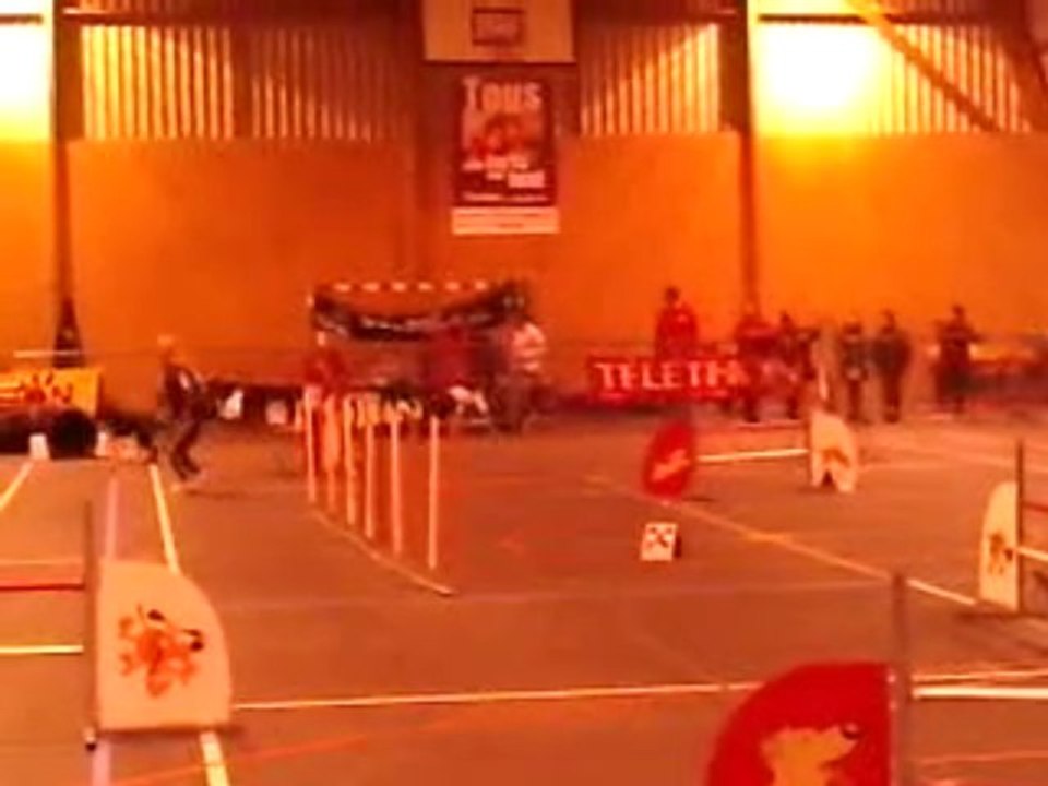 jumpingV141109_19.040001 téléthon mouen 2009