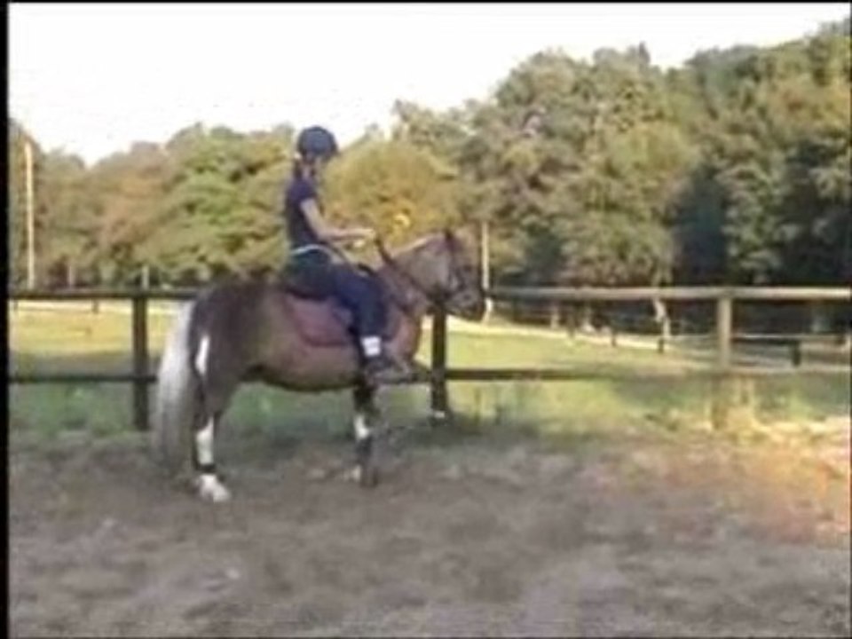 isis ponette de concours