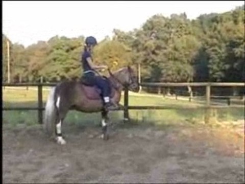 isis ponette de concours