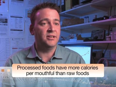 Causes of obesity in Britain