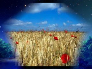 Je n'ai qu'un amour au monde par Yvette Giraud