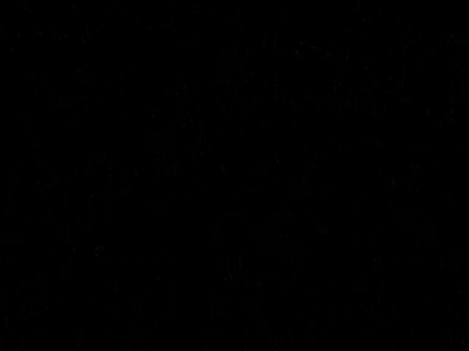 WWE - Kelly Kelly & Evan Bourne dédicaces a Lyon le 13/11/09