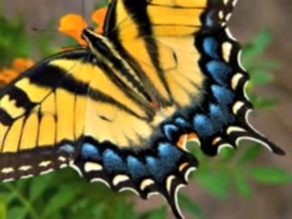 Histoire Courte 2 - 2/14 - Jean Yves Matynia