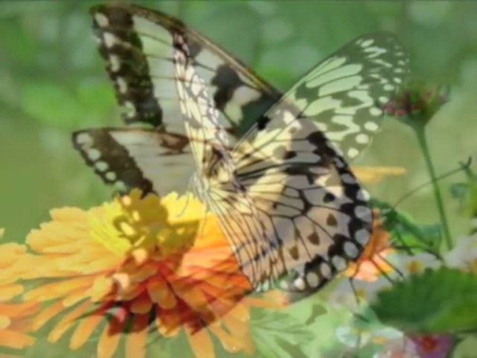 Histoire Courte 7 - 7/14 - Jean Yves Matynia