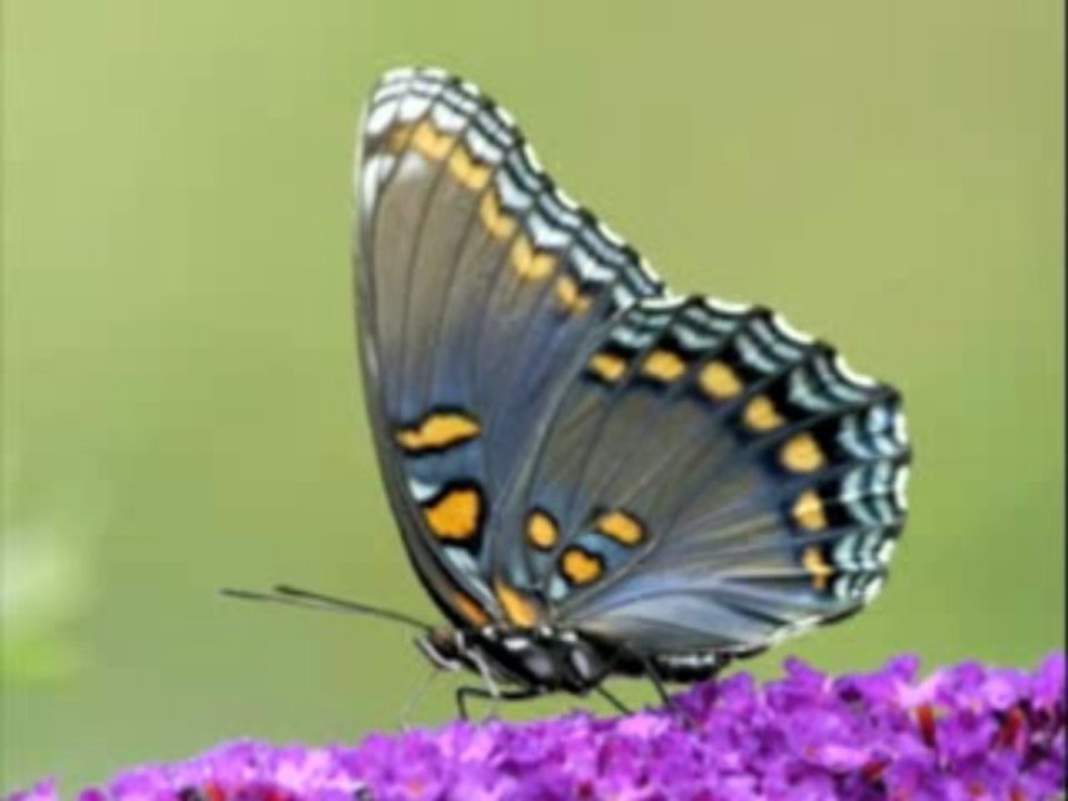 Histoire Courte 9 - 9/14 - Jean Yves Matynia