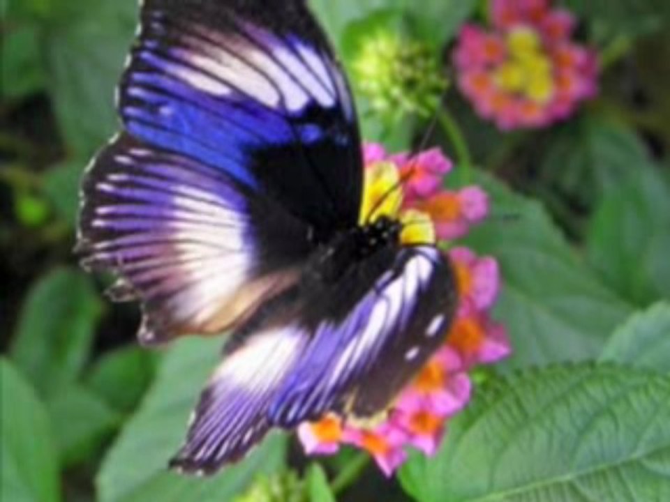 Histoire Courte 11 - 11/14 - Jean Yves Matynia