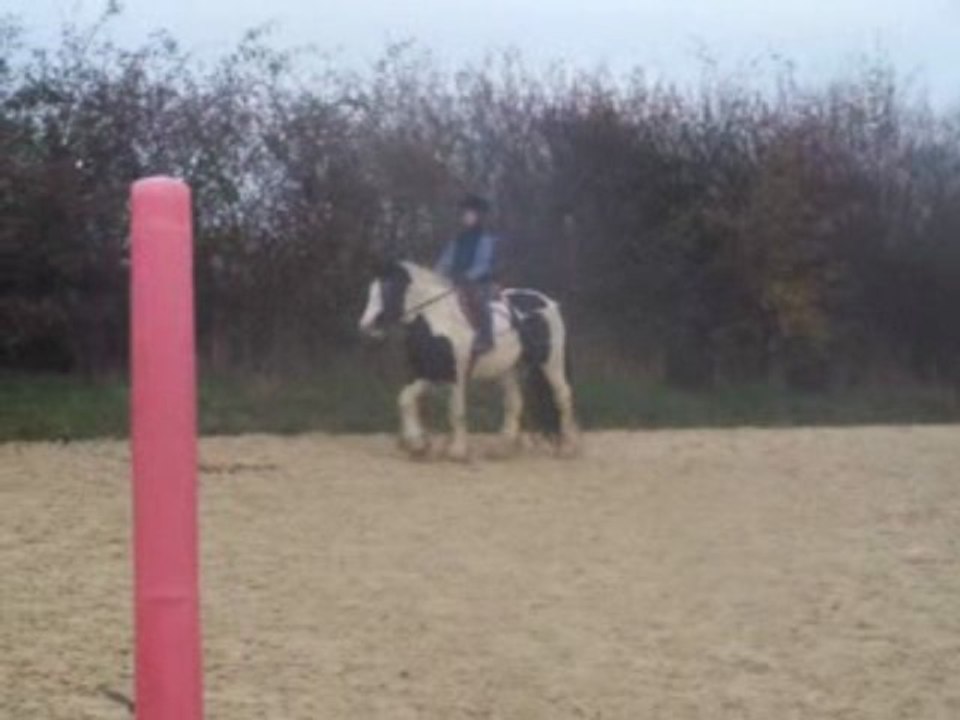Baptiste et Piebald, au trot, grande carriere