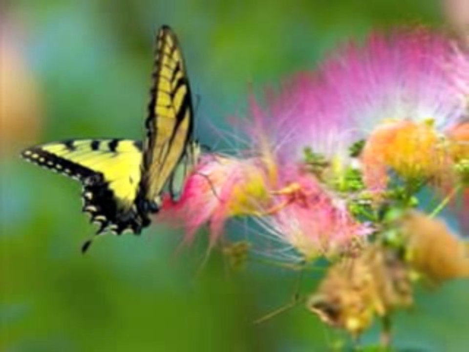 Histoire Courte 14 - 14/14 - Jean Yves Matynia