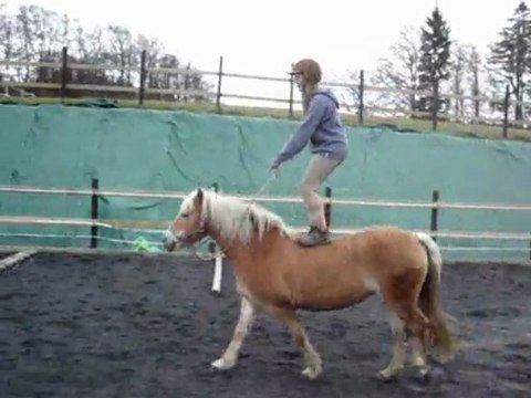 Jarny poste hongroise