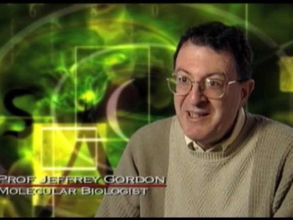 Microbe Invasion || Trailer