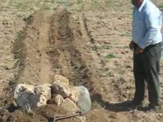 Taş Üstünde Sörf-7