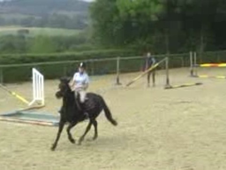travail sur le vertical