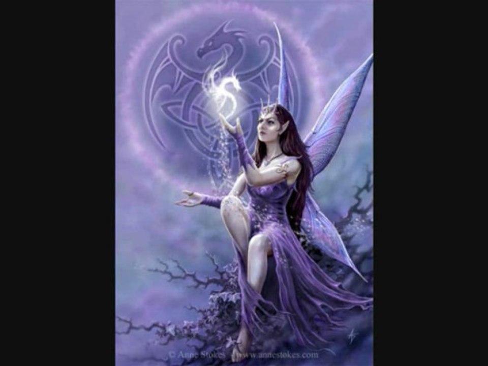 Les femmes  du dragon blanc