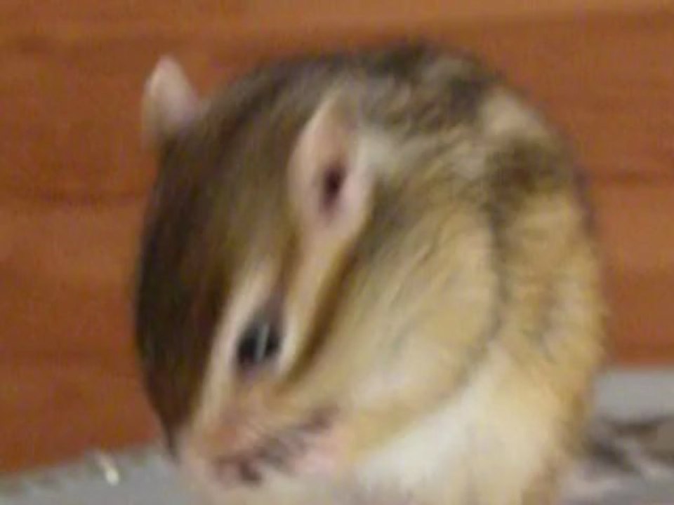 Jolie gourmande !