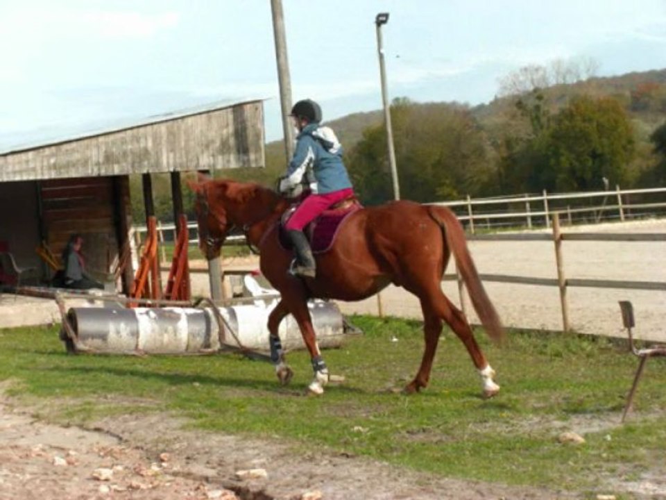 Isatice2008