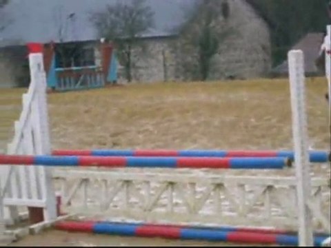 Concours 15 Novembre CSO