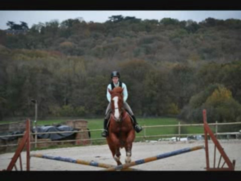 8novembre2009
