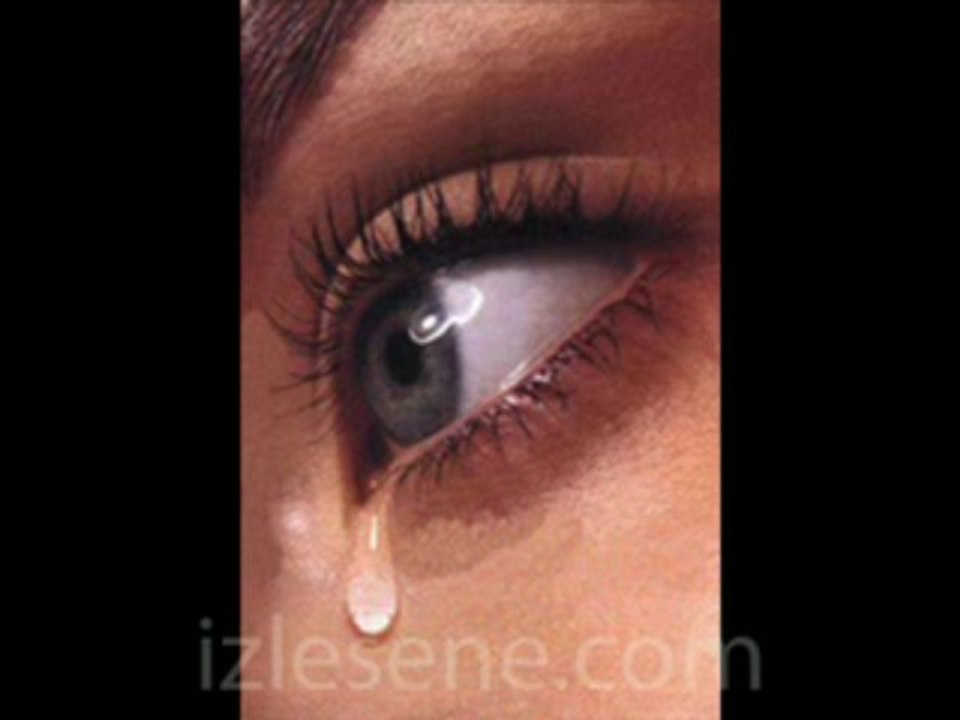 ETKİN-HEVESMİ SANDiN (Şiirli)