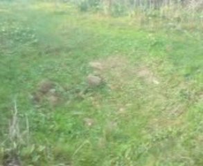 histoire de la firme du grand pere Merah  abdelkader