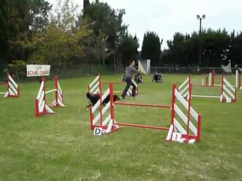 Angie - Jumping Fos sur Mer