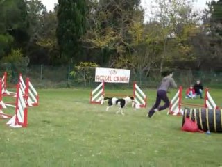 Bulba - Jumping Fos sur Mer