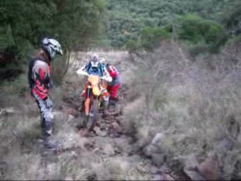 michel 14.11.09 alousde