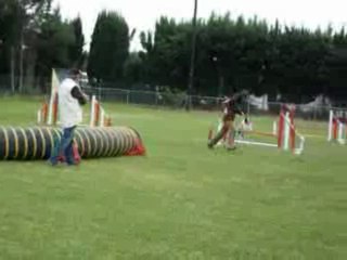 Cruz - Jumping Fos sur Mer