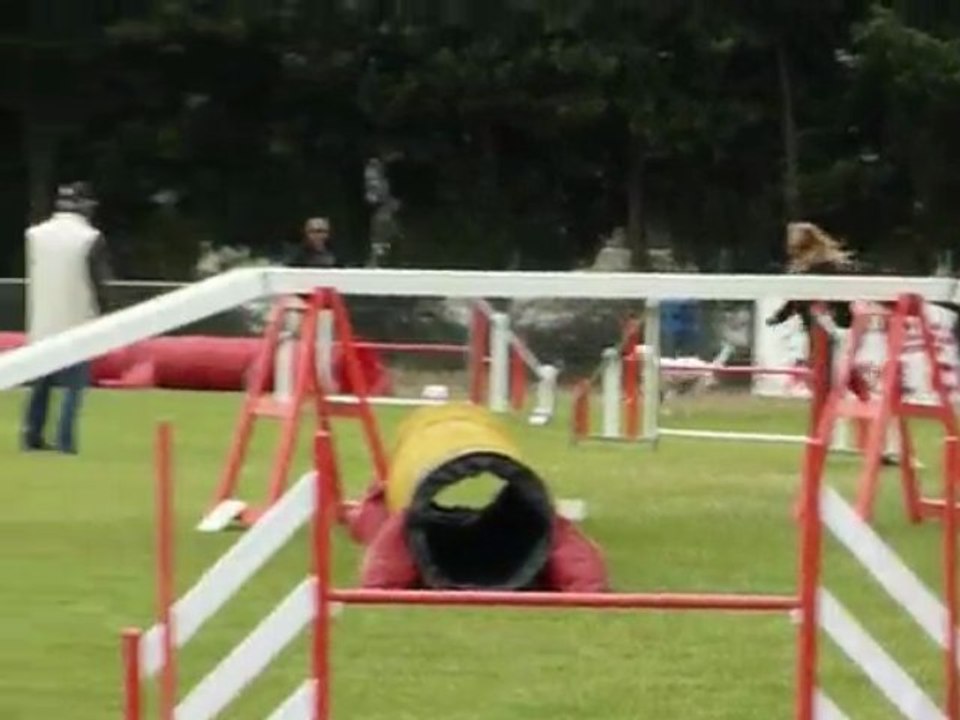 Daisy - GPF Fos sur Mer