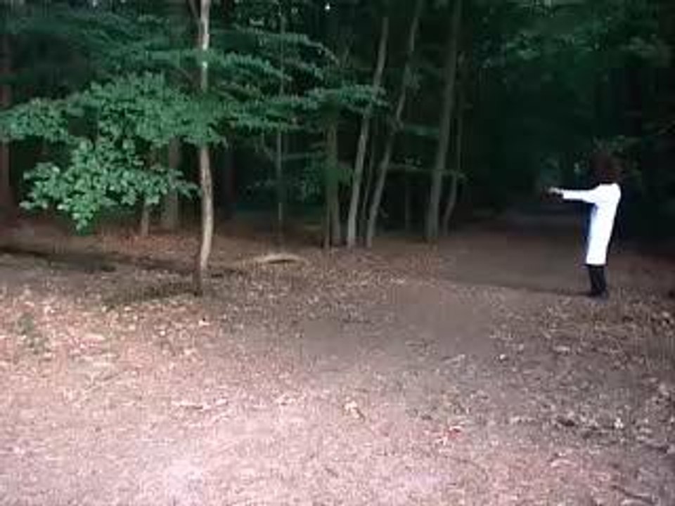 DanceMonkey