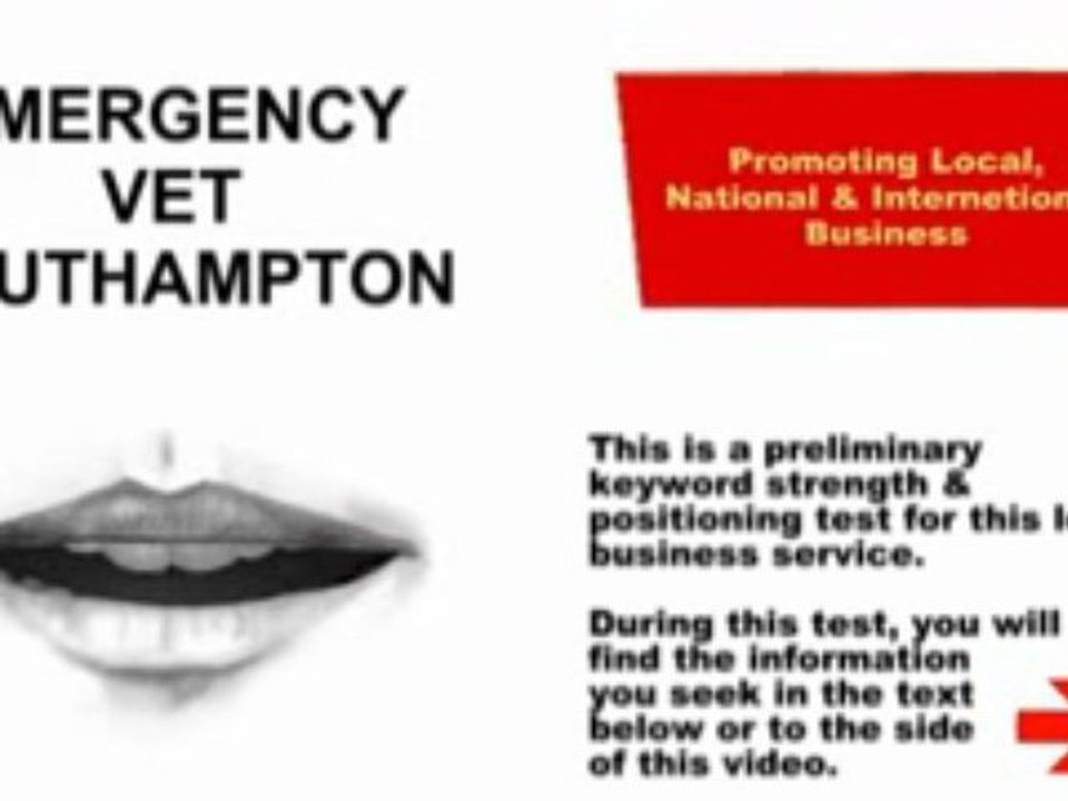 EMERGENCY VET SOUTHAMPTON