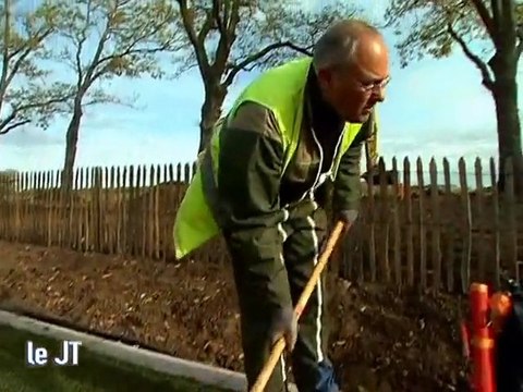 Chantier du tramway d'Angers: La pose du gazon
