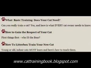 Cat Training Book For Cat Toilet Training