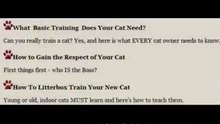 Cat Training Book For Cat Toilet Training