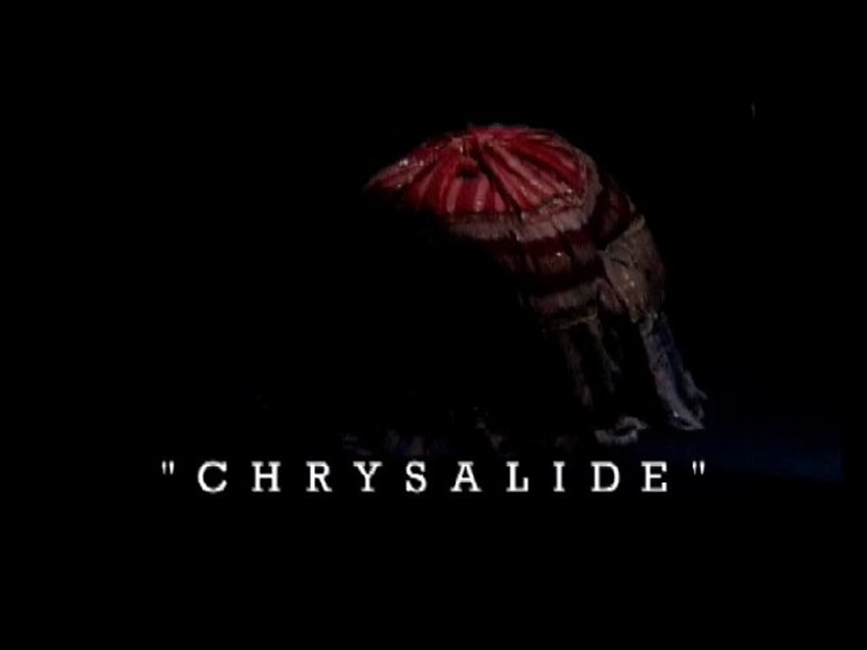 Chrysalide