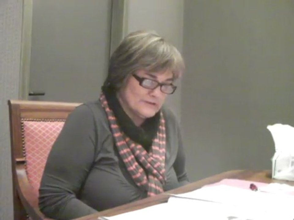 Conseil économique et social de Romans