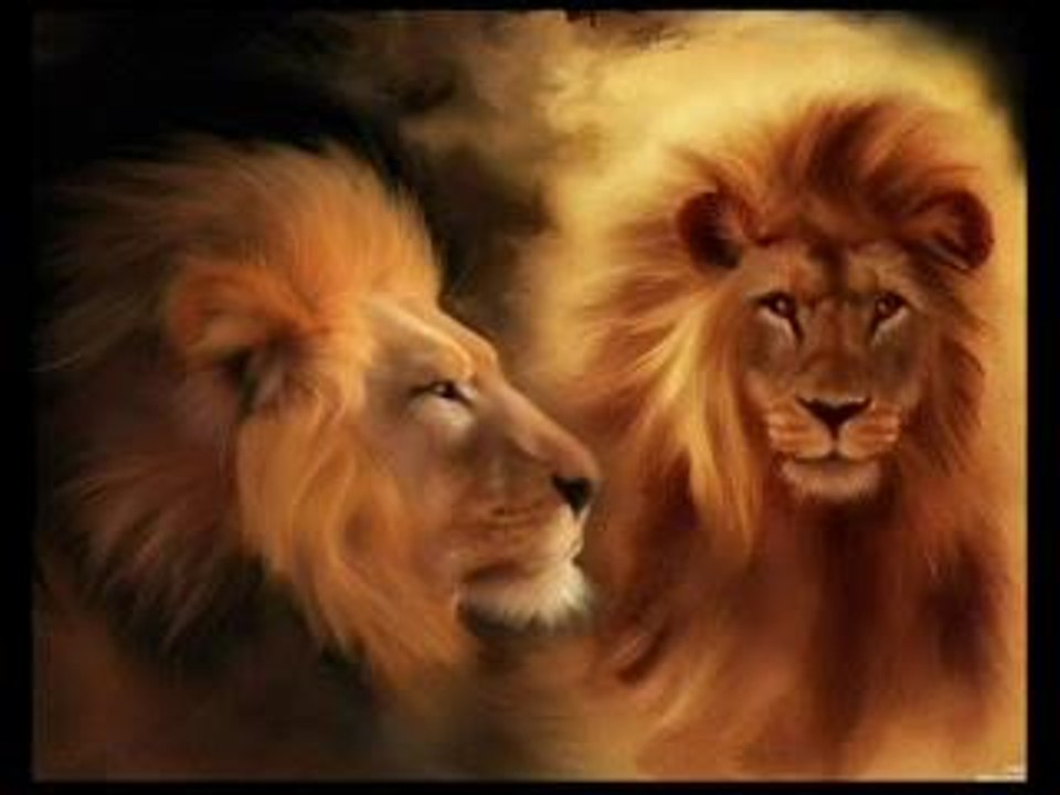 Animals & Art