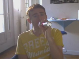 Wiwi égratigne "Fake plastic trees"