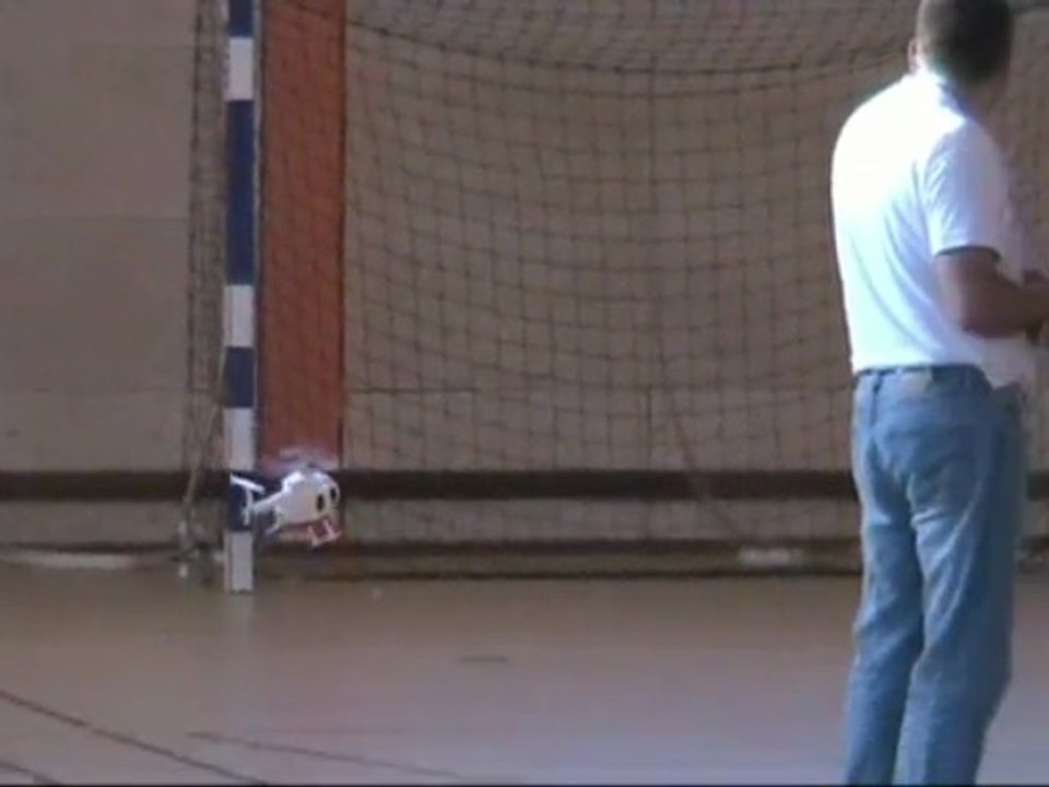 14-11-2009 Un Hugues 500 et Trex 450