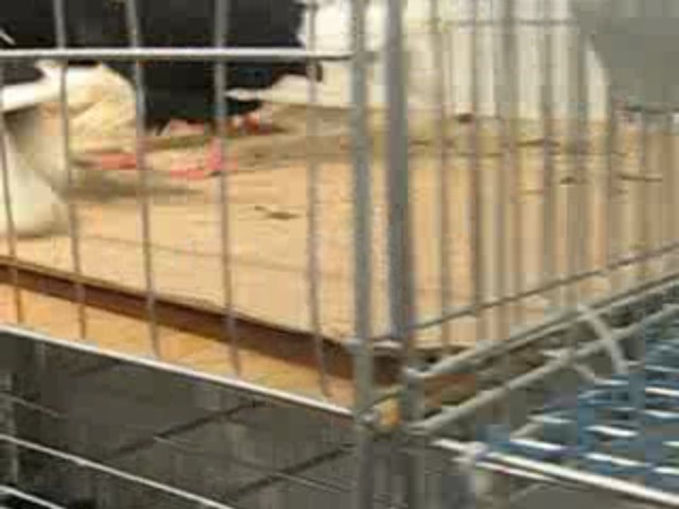 Bursa Tarım Fuarı 2009