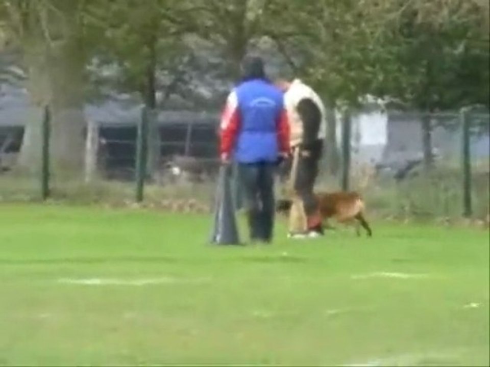 Colt, concour 2009 a londiniere