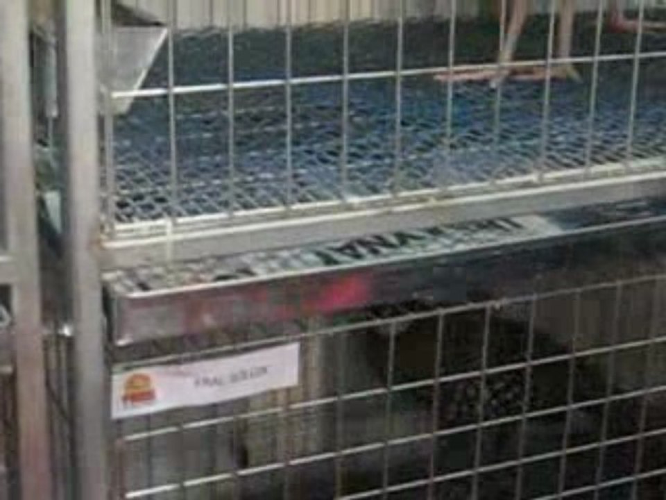 Bursa Tarım Fuarı 2009-4