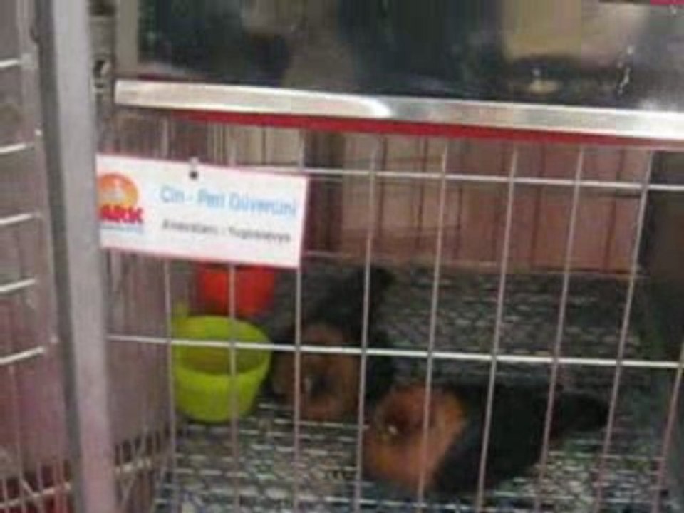 Bursa Tarım Fuarı 2009-5