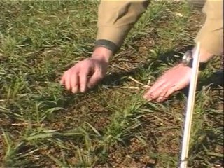 Conseiller agricole grandes cultures