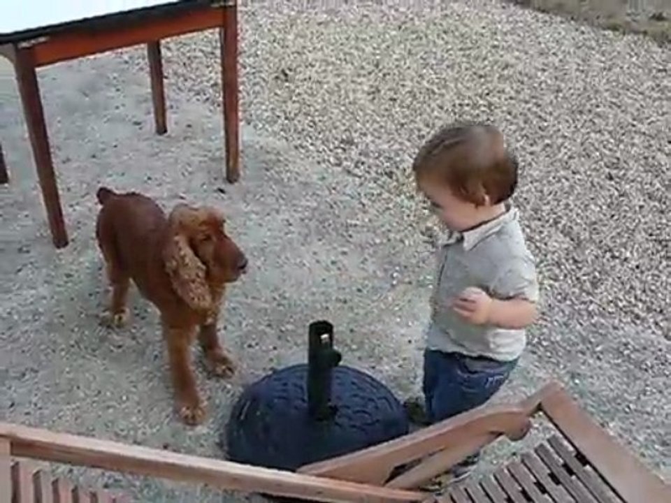 2009.09.01 - Eliott 2008 - je joue avec Winston dehors