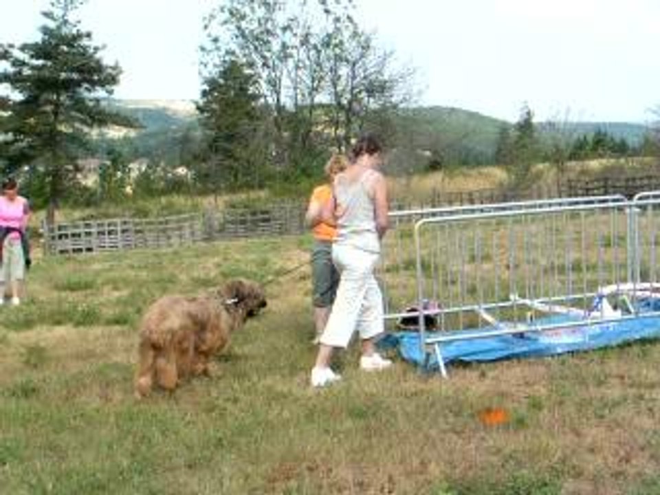athos25juin02