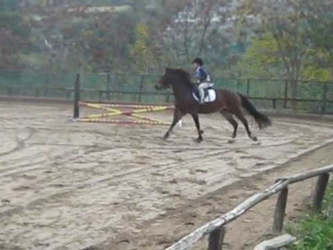 Alessandro Scapuzzi Salto Ostacoli a Pompeiana Imperia
