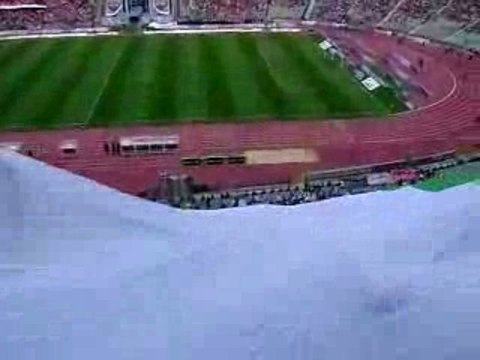 Algeriens au Caire 14/11