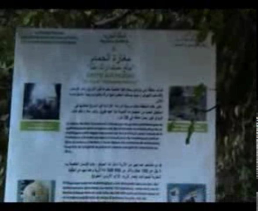 Taforalt - Grotte des Pigeons Nov 2009