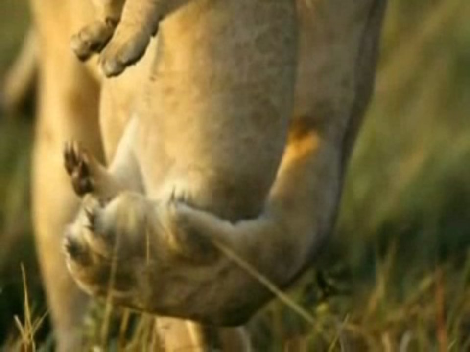 Photographes de l_impossible