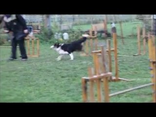 Kherwyn agility1 22.11.09